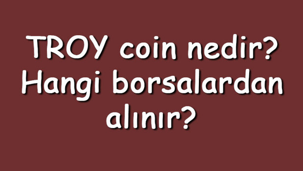 TROY coin nedir? Hangi borsalardan alınır? TROY ne zaman çıktı? Ne iş yapar?